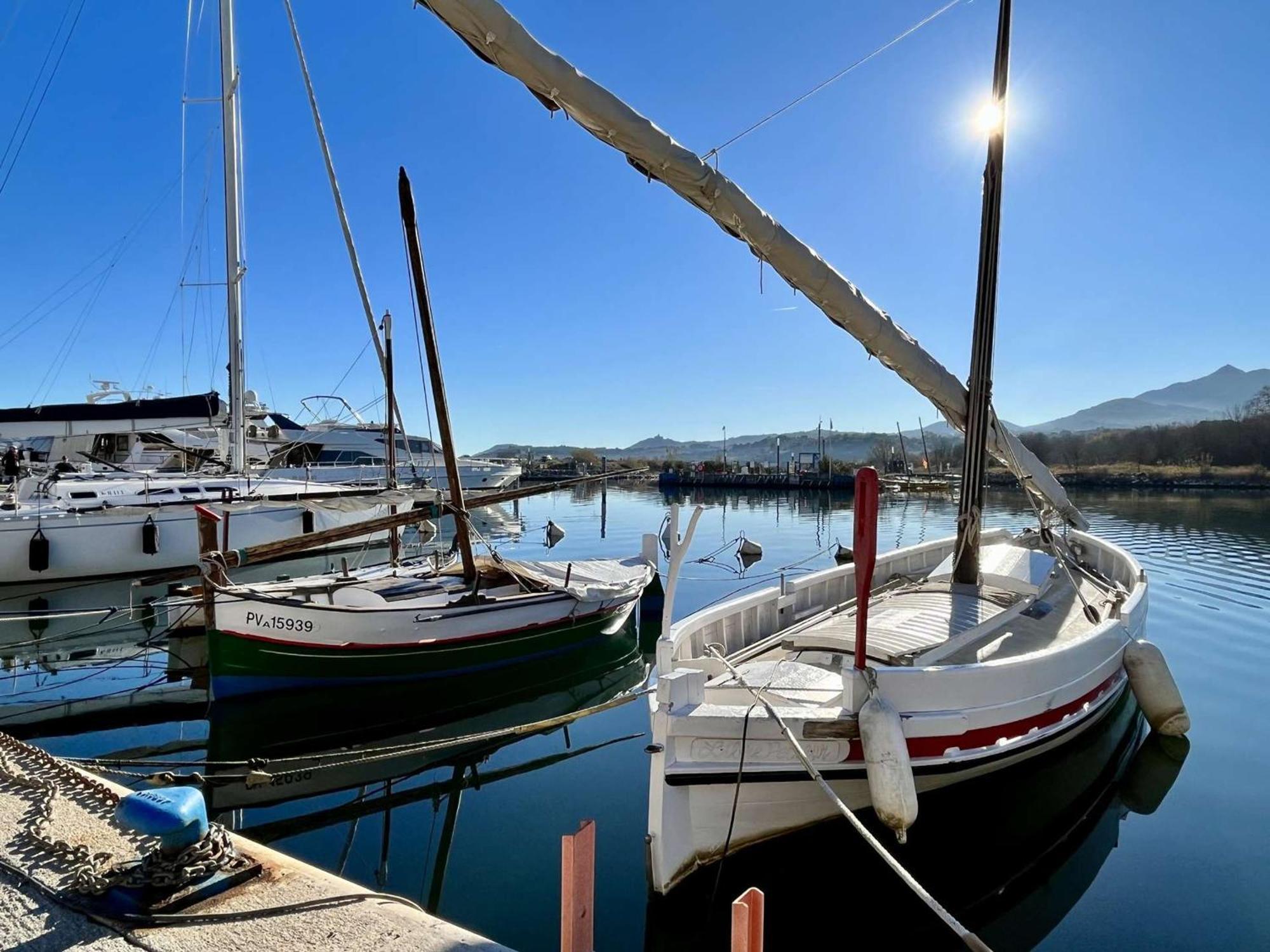 Appartement 2 Pieces, Balcon, Proche Plage Et Commerces, Quartier Calme - Argeles-Sur-Mer - Fr-1-225-685 Экстерьер фото